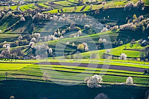 Unique ecological land management near Hrinova with fieldsand meadows for breeding cows and sheep for home production of cheese on