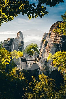 the unique elbsandsteingebirge at the bastion bridge of the Felsenburg Neurathen. beech forest in sunrise