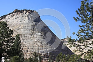 Checkerboard Mesa at Zion National Park