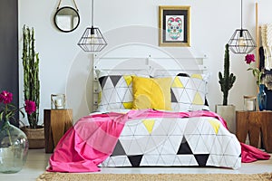 Unique geometric bedclothes and cactus photo