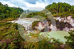 The unique geothermal area