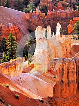 Unique hoodoos rock detail Bryce Canyon Utah