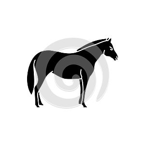 Unique horse vector concept design