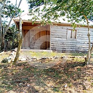 A unique house a Ugandan island