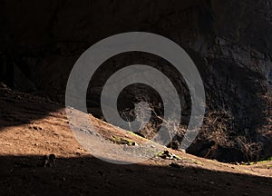 Unique illuminated Ak-Mechet cave with grove of trees in the south of Kazakhstan