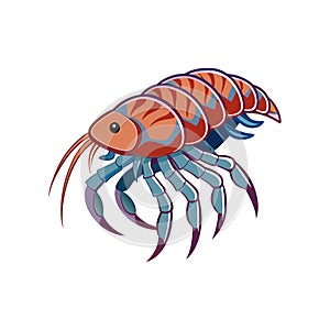 Unique Cryptolithodes Crustacean Realistic Illustration