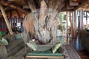 Unique interior of Ngorongoro Crater Lodge, Tanzania, Africa. Tree inside a room with swing on a branch. Ecological concept.