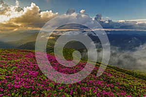 Unique landscape of the Carpathians, Marmaros Massif, Mount Pip Ivan Marmarosky, Ukraine. A unique landscape of the Carpathians wi