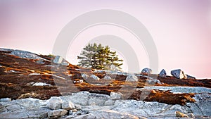 Unique landscape of coastal Nova Scotia