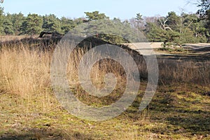 Unique landscape (north germany)