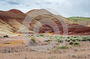 Unique landscape of a red hill with yellow wildflowers and green shrubs