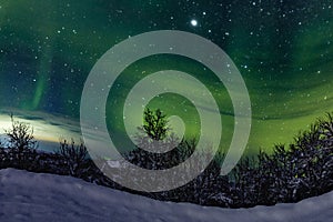 A unique natural event of the green polar aurora borealis in the sky