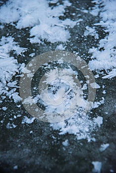 Unique natural phenomenon. Fancy ice on the surface of a frozen pond.