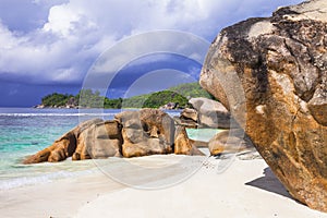 Unique nature of Seychelles islands
