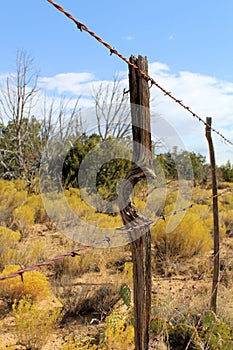 A Unique Old Fence Post