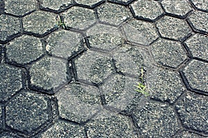 Unique Old Paving Cement Floor Background Texture