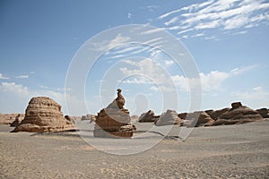 Unique peacock stone in yadan landform Dunhuang