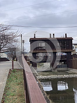 Unique pedestrian bridge