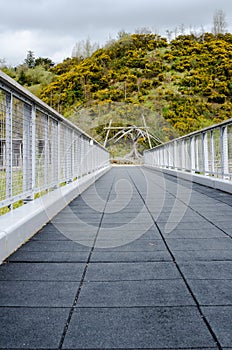 Unique Perspective of an Empty Foot Bridge with Tree Line Backgr