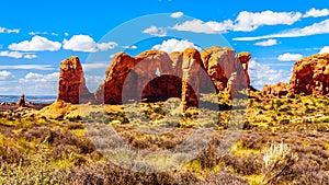 Unique Red Sandstone Formations of the Parade of Elephants in Arches National Park