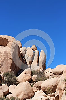 Unique rock formation with mesquite trees growing in the rocks on the Hidden Valley Picnic Area Trail in California