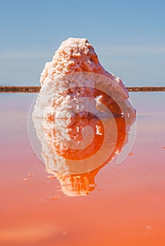 Unique Salt Formation at Alviso Pink Lake Park, California photo