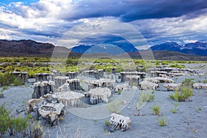 Unique Sand Tufa