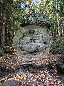 Unique sandstone rock formation in Table Mountain National Park, Poland