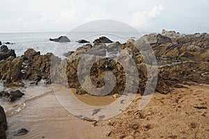 Unique sandstone rocks shape by the sea. Reef stone on nature background.