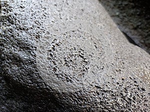 The unique shape of the river stone pores