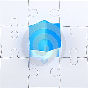 A Unique Solution Emerges from a Puzzle