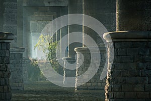 Unique space under the bridge