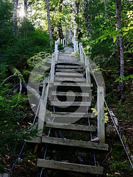 Unique Steps Suspended on Cables in New Brunswick, Fundy Trail