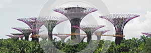 Unique supertrees in Singapore, unusual architecture