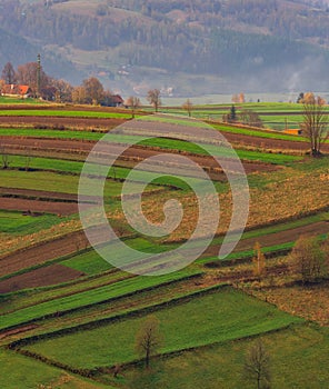 Jedinečné terasovité jarné zelené polia v strednej Európe, ukážka tradičného, ekologického poľnohospodárstva.