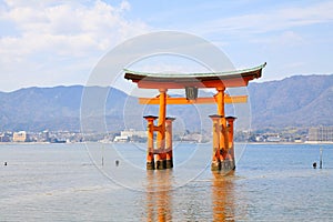 Unique Torii in the sea