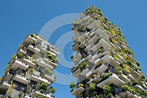 Unique tree skyscrapers of Milan, Italy