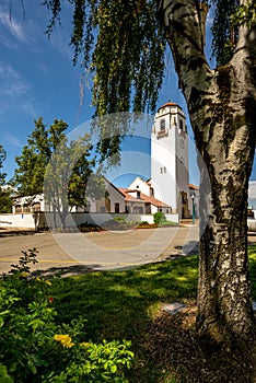 Unique view of the Boise Train Depot and willow tree