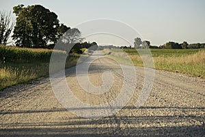 Unique View of Country Dirt Road