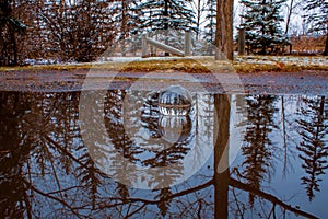 Lensball Puddle Reflections
