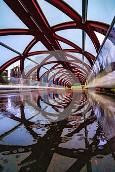 Unique Peace Bridge Reflections