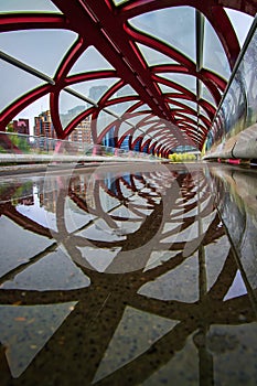 Interior Peace Bridge Puddle Reflections