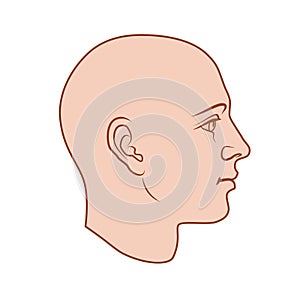 Unisex human head in side view