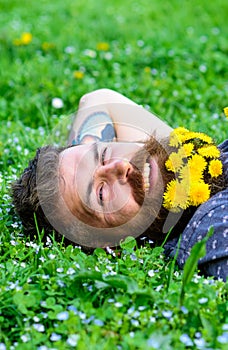 Unite with nature concept. Bearded man with dandelion flowers lay on meadow, grass background. Man with beard on smiling