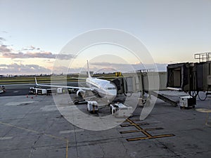 United Airlines Plane parked at Honolulu International airport