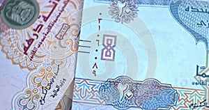 United Arab Emirates 20 dirham banknote, UAE Emirati money closeup