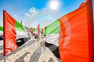United Arab Emirates flag waving on the wind, UAE Flag
