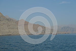 United Arab Emirates Oman dolphin watching boat trip Khasab Musandam dhow cruise