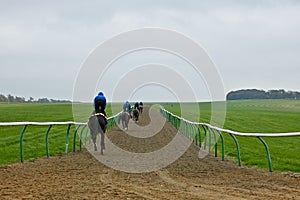 United Kingdom - Newmarket