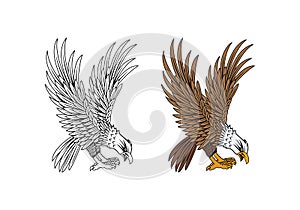 United State Marine Corps Eagle ega design illustration